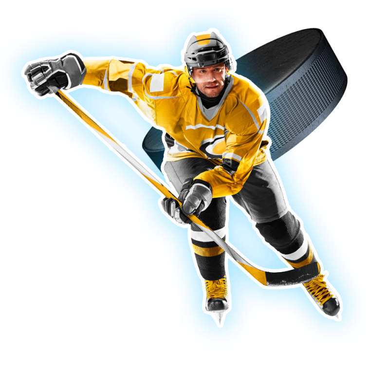 Excitement of Sports betting NHL